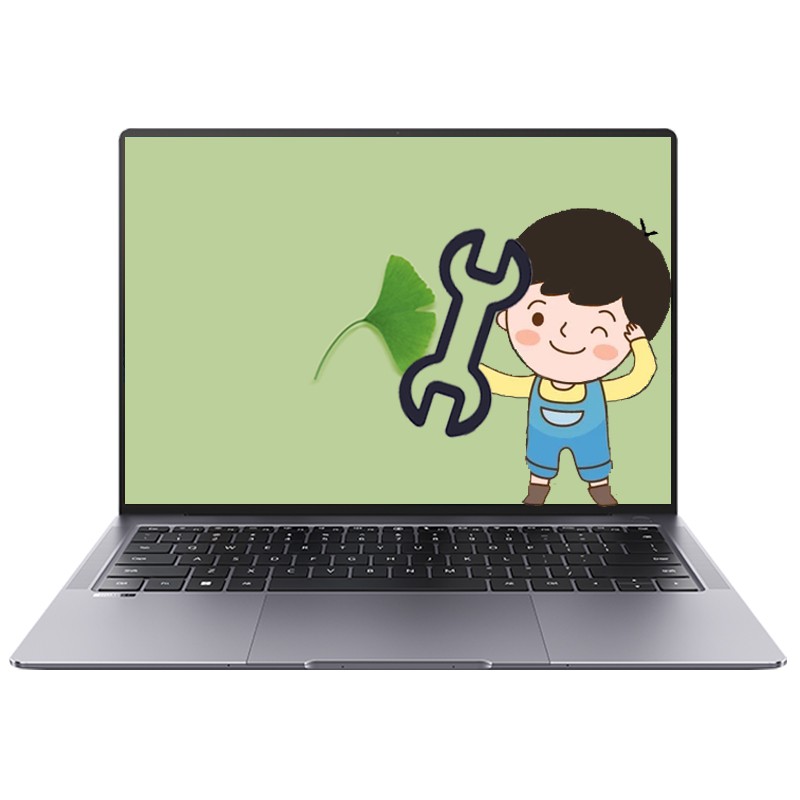 电脑远程救援服务